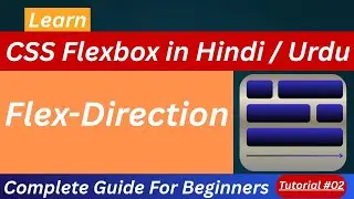 CSS Flexbox Flex-Direction Tutorial in Hindi / Urdu 