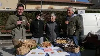 7 4 LIGURIA ANCHEU