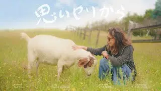 「思いやりから」捨てられた動物たちの物語