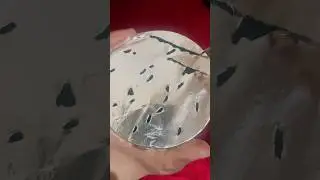 Foil Crinkles For Sleep!