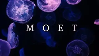 Xolity - Moet (audio oficial)