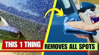 Secret Trick to Remove Water Spots from Car Paint & Glass 😱✨