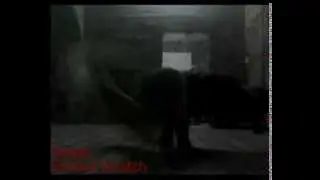 Ground scratch (Testosterone crazy scratch)