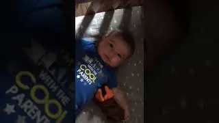Classic Crib Roll - 5 Months