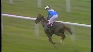 1989 Queen Elizabeth II Stakes Zilzal + Replay