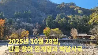 2025년 10월 28일, 단풍 찾아 한계령과 백담사로 /  To Hangyeryeong and Baekdamsa Temple in Search of Fall Foliage