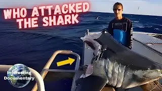 Mystery Deep-Sea Monster Bites Giant Mako Shark in Half