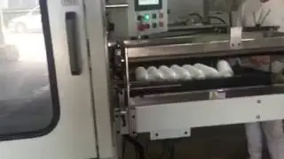 Fully automatic EPS Foam Cup bowl  Packing Machine