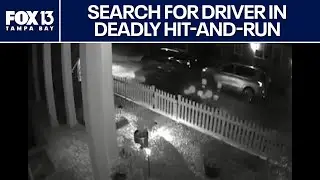 Search underway for Florida driver seen near hit-and-run crash