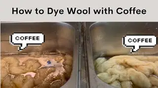 Wake Up and Dye: How to Create Beautiful Combed Top with Coffee!🌅☕🐑