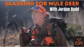 Glassing for Mule Deer with Jordan Budd | MeatEater Clips