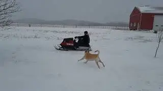 Yamaha Encticer Diesel Snowmobile
