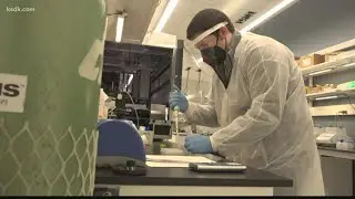St. Louis company detects Alzheimer's disease through a blood test
