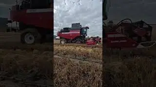 GR-700 ROTOR 💪💪💪GOMSELMASH уборка риса на прямую