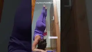 Long time has passed since trying Pincha Mayurasana #yoga #asana #yogaofthemind