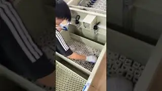 Qlozone Combi Drum Filter for Aquarium Koi Pond.#aquarium #aquaculture #koi #koipond #koifish