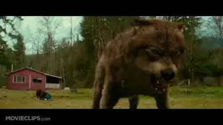 Jacob's transformation