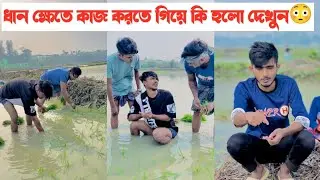 ধান ক্ষেতে কাজ করতে গিয়ে কি হলো দেখুন😳 || Bangla Short Flim || Aminur Islam Avro