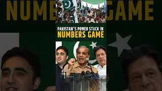 Pakistan's government stuck in numbers game? | Pakistan Election 2024
