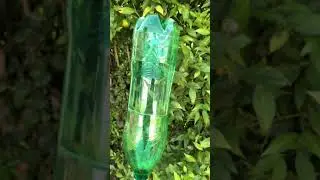 Como pegar frutas do alto da &aacute;rvore