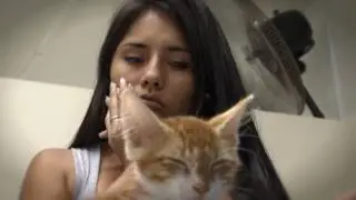 PROGRAMA 6 BLOQUE 1 LOS ANIMALES ME IMPORTAN 16-4-17