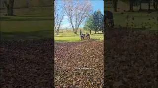 Get up and get to it! 🤙 #leafcleanup #fallcleanup #landscaping #scag #windstorm
