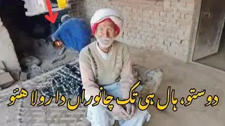 دوستو، ہال ہی تک چانوراں جو وڏو رولا هئو