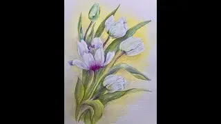 Watercolour tuition video Wet on Wet.