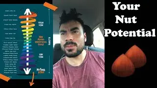 Metaphysical Semen Retention |Spiritual| The Universe Will Reorganize Itself To Your Level of Energy