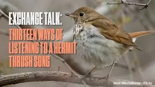 Exchange Talk: Thirteen ways of listening to a Hermit Thrush song
