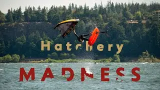 Epic Light Wind Wing Session at The Hatchery | Wylan Kaochari Sends It!