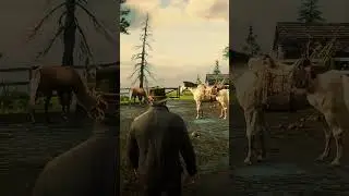 What Happens If You Approach Wild Horses In Red Dead 2?