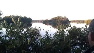 Cuba duck hunting 2014 #2/3