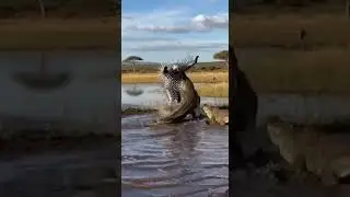 Man in Spiked Armor vs Crocodiles in the Savannah