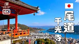 【尾道千光寺】絕對不能錯過！貓之細道、文學步道深度漫遊 ft. 尾道一日遊 VLOG