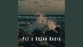Seashell Therapy Sounds