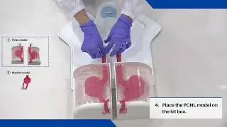 ECIRS Simulator: How to Assemble It - ALDAVER Surgical Simulator