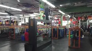 Urban Jungle - Video Tour