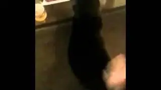 Spanky boy