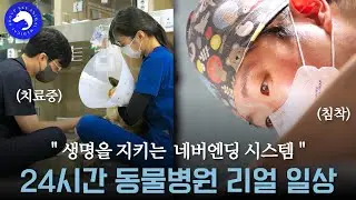 생명을 지키는 네버엔딩 시스템! 24시간 동물병원 리얼일상  #수원스카이동물메디컬센터