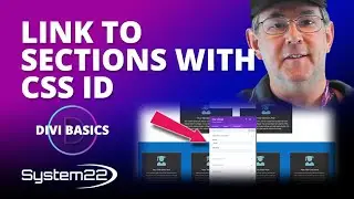 How To Link To Sections Using CSS id With The Divi Theme 👈👈👈