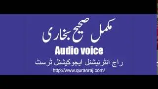 Sahih Bukhari Hadees No 5511