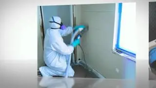 Wall Cracks