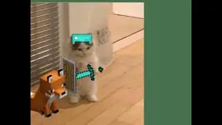 playing racket rivals