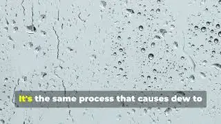 How Rain is Formed: A Simple Explanation