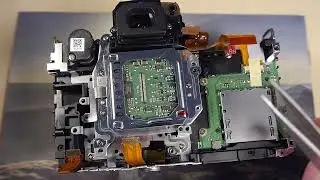 Converting the Canon 1200D T5 X70 Digital Camera to a 720nm Infrared for Rebecca
