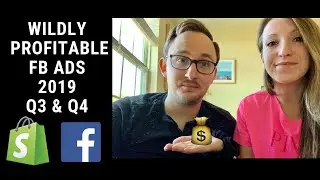 Wildly Profitable Facebook Ads Dropshipping & eCommerce 2019 - Part 1: Ad Strategy