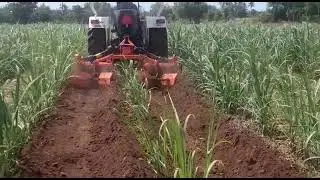 Shaktimaan inter-row rotary tiller working in sugarcane field call 8778272711,7904447044 #Shaktimaan