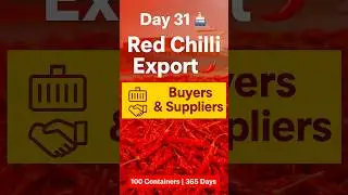 Day 31 | Dried Red Chilli Export Business 🌶 | Free Buyers & Suppliers
