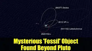 Mysterious 'Fossil' Object Found Beyond Pluto | Ammonite Discovery Explained